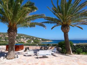 duas palmeiras e cadeiras num pátio com o oceano em Appartamento in villa panoramica Maladroxia em Maladroxia