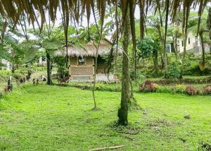 une petite maison avec un toit en gazon dans un champ dans l'établissement Lembah Cawene Hills Syariah RedPartner, à Gunungpicung