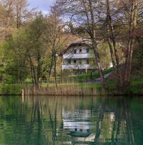 une maison sur une colline à côté d'une masse d'eau dans l'établissement Lake House Sebanc, à Bled