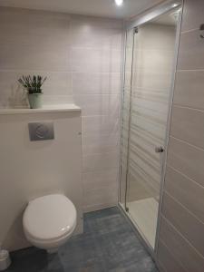 a bathroom with a toilet and a shower at Petite et grande longères familiale avec jardin - nature & plages in Limerzel +49 photos