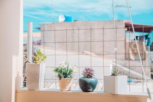 a row of potted plants sitting on a window sill at Oasis Zante Apartment in Zakynthos Town