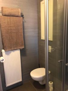 a bathroom with a toilet and a shower with towels at Logies Dampoort in Ghent