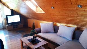 a living room with a couch and a tv at Apartment Melinda in Balatonszemes