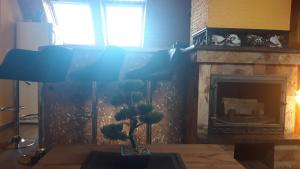 バラトンセメッシュにあるApartment Melindaのリビングルーム(暖炉、植物付きテーブル付)