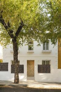 Casa del Berro Espectacular oasis en el centro de Madrid, Madrid – Precios  actualizados 2023