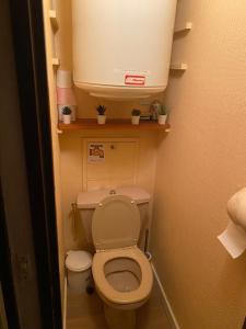 a small bathroom with a toilet and a sink at Studio Confortable style Chalet, Saint Lary Soulan centre village, 6 nuits minimum in Saint-Lary-Soulan