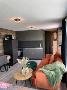 Tiny House في Westdorpe: غرفة معيشة مع أريكة حمراء ومطبخ