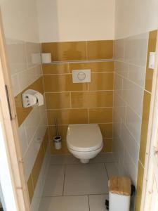 a small bathroom with a toilet in a room at STUDIO SYMPA et AU CALME in Le Chambon-sur-Lignon