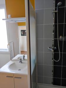 un baño con ducha y lavabo en Le 2neuf - Magnifique T1bis - Grande terrasse, en Vertou 29 fotos más