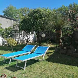 A garden outside A CASA