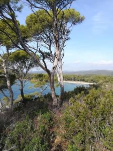 Imagem da galeria de Les jardins du Luxembourg em Hyères