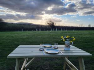 un tavolo da picnic con piatti e fiori su un campo di Rowan Eco Cabin - Sleeps 2 - Valley View a Launceston