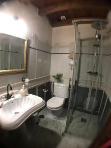 y baño con aseo, lavabo y ducha. en Hospederia Casa de Cisneros, en Toledo
