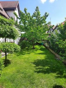 コウォブジェクにあるZielony Domekの木々や緑の芝生、建物のある庭