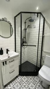 a bathroom with a shower and a sink and a toilet at Apartament Kamienica in Polanica-Zdrój