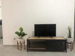 a living room with a tv and two potted plants at RDC - Appartement F3 Villiers le Bel 95 Proche de Paris Roissy in Villiers-le-Bel