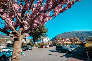 Splošen pogled na gorovje oz. razgled na gore, ki ga ponuja hotel