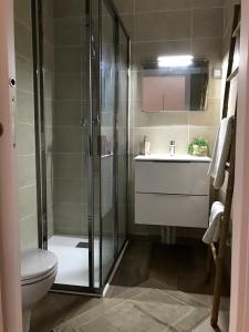 a bathroom with a shower and a toilet and a sink at Location Studio avec Jardin en Hameau II in Gréolières