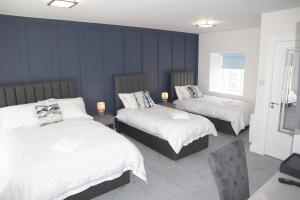two beds in a room with blue walls at The Lodge Ballina in Ballina