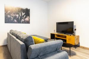 A television and/or entertainment centre at Modern and lovely apartment next to subway station