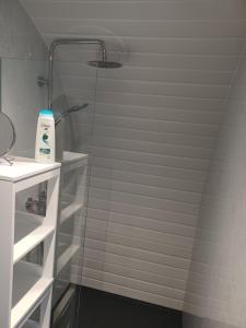uma casa de banho com um chuveiro e uma porta de vidro em Parcglas - Hazel em St Clears