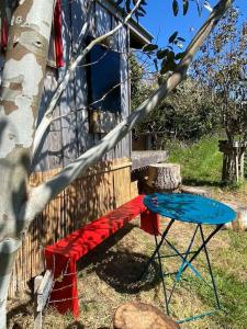 un banc rouge et bleu assis à côté d'un arbre dans l'établissement Bohémienne regarde la mer., à Plogoff