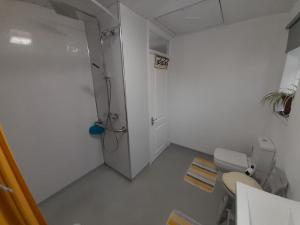 a small bathroom with a toilet and a shower at The Homestay Get Away in Kent +4 photos