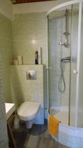 a bathroom with a toilet and a shower at Gîtes & chambre d'Hôtes - AVEZE in Avèze +40 photos