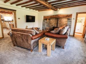 a living room with two couches and a fireplace at Nant Y Celyn in Ruthin