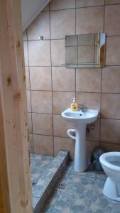 a bathroom with a sink and a toilet at Alpine Escape Studios in Măgura