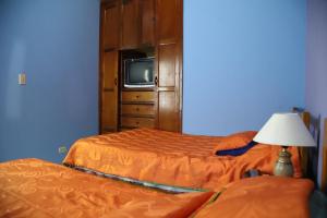 El Cocuy的住宿－Hotel la Cabaña，一间卧室设有两张床,并在橱柜上配有电视。