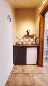 uma cozinha com um lavatório e uma bancada em Le studio avec parking privé em Honfleur