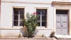 um edifício branco com duas janelas e um arbusto em Le studio avec parking privé em Honfleur