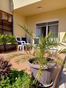 Gallery image of Apartmani Irena in Tivat