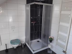 a shower stall in a bathroom with a toilet at Ferienwohnung Günther am Park in Ditfurt