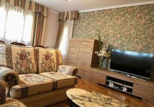 艾因薩的住宿－L'arome de Ainsa，带沙发和平面电视的客厅