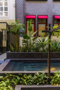 a pool in front of a house with plants at The Editory Boulevard Aliados Hotel in Porto