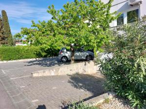 Vonkajšia záhrada v ubytovaní Mely Apartment