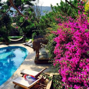 Gallery image of Villa Sophia Marmaris in Marmaris