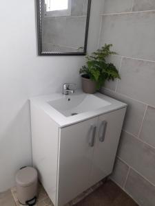 La salle de bains est pourvue d'un lavabo blanc et d'une plante. dans l'établissement La Case Sans Souci, à Le Bois de Nèfles