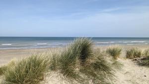 a sandy beach with grass in front of the ocean at Rêve Bleu in Dunkerque