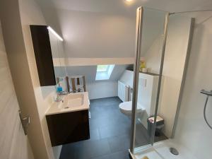 a bathroom with a toilet and a sink and a shower at Pension Pradler Wohnung Obergeschoß in Carolinensiel