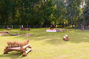 a field with a horse jumping over a fence at Heidegut Eschede Reitsportanlage und Feriendorf in Eschede