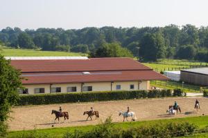 a group of people riding horses in a field at Heidegut Eschede Reitsportanlage und Feriendorf in Eschede