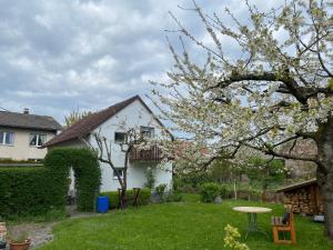 En have udenfor Ferienhaus am Weserradweg + 11 billeder
