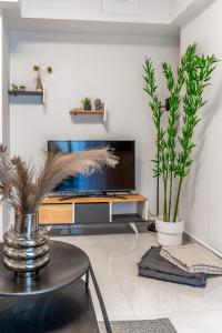 a living room with a tv and two potted plants at Athena Studio in Gazi in Athens