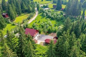 an aerial view of a house in the middle of a forest at Bucsin Kulcsosház in Joseni
