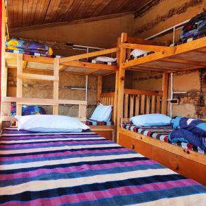 Shangarh的住宿－Mud Hostel Shangarh，一间卧室配有两张双层床。