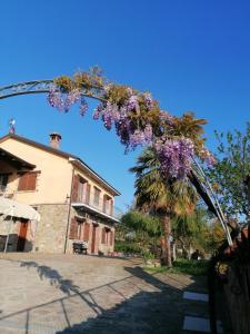 Une bande de fleurs violettes suspendues à un arbre dans l'établissement Cascina Zanot, à Marsaglia
