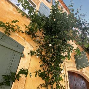 Foto dalla galleria di Rue du Château a Tarascona